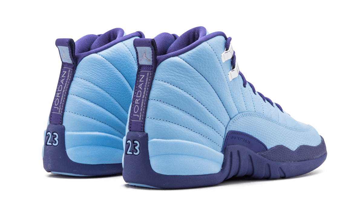 Air Jordan 12 Retro GS Purple Dust 510815 418