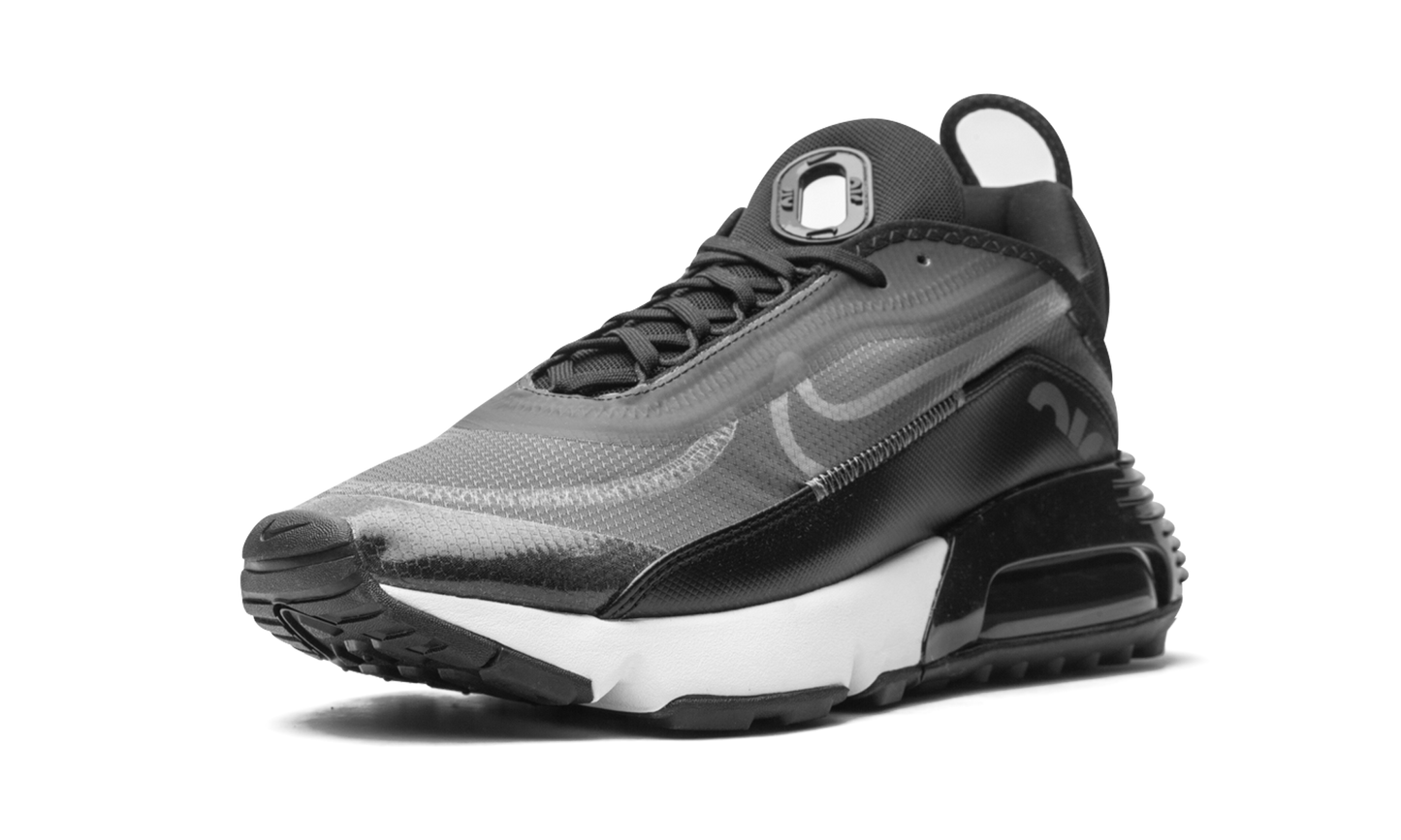 Nike AIR MAX 2090 "Black / Wolf Grey" CW7306 001