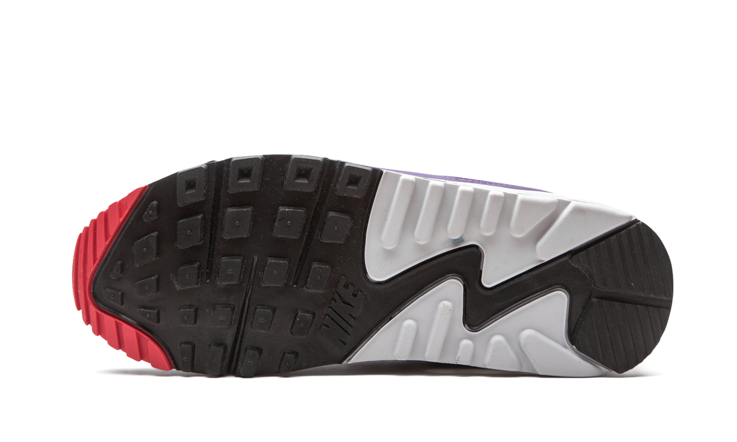 Nike Air Max 90 WMNS "Eggplant" CW1360 100