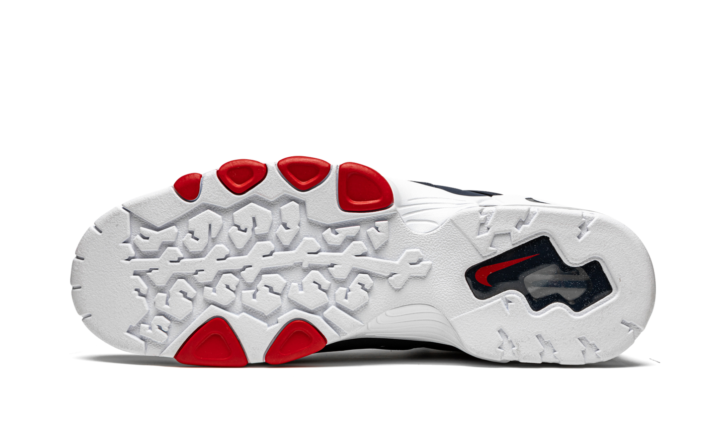 Nike Air Max CB 94 "USA 2021" DJ5160 400