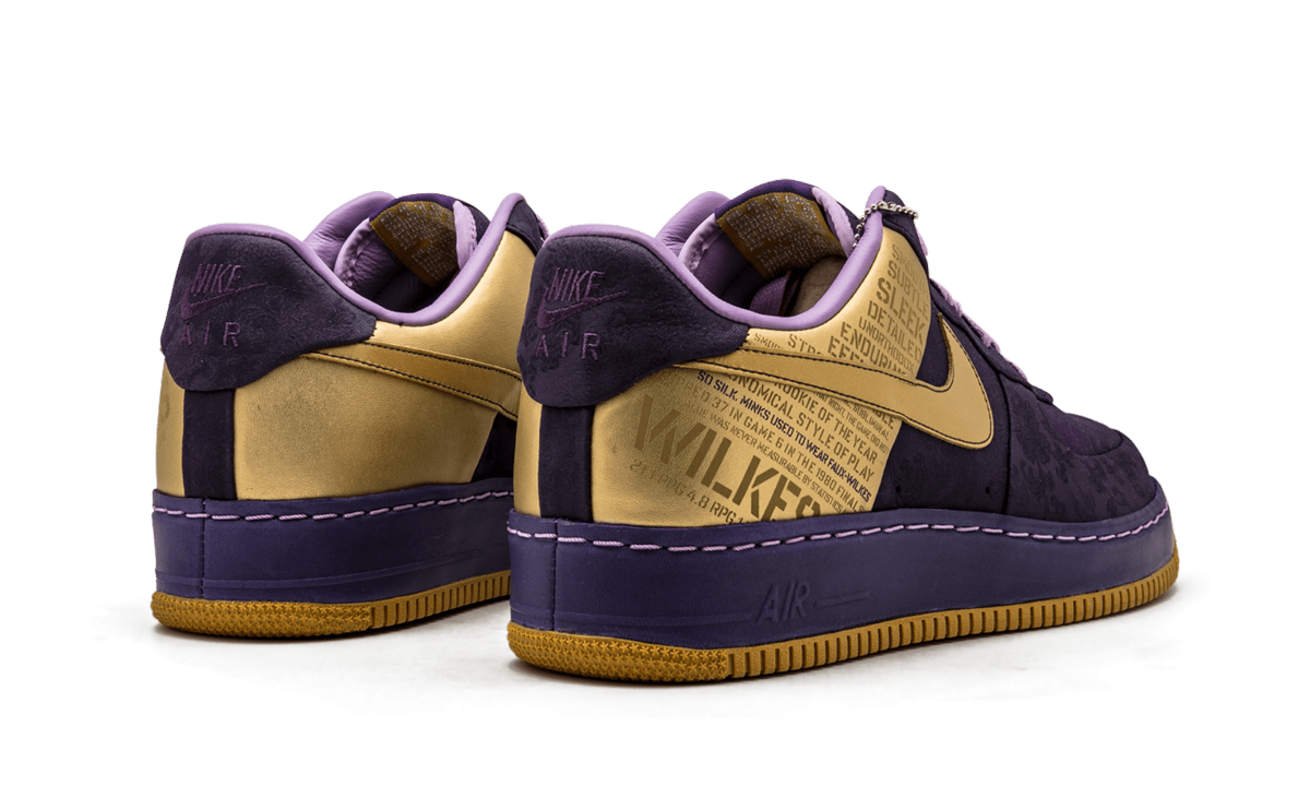 Nike Air Force 1 SPRM '07 "Wilkes" 315088 571