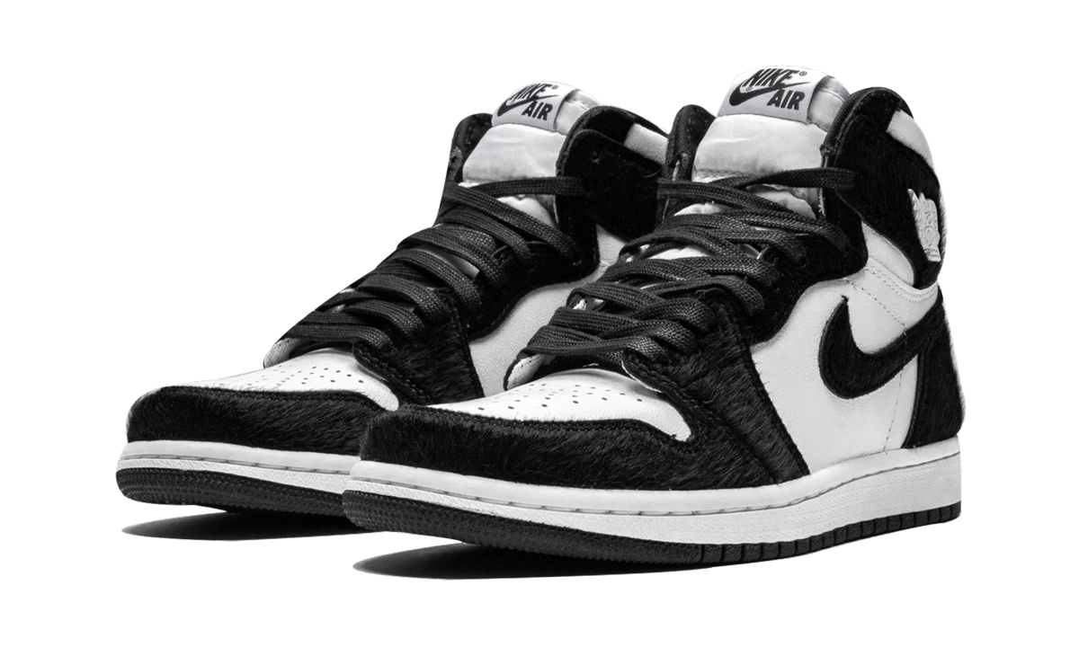 AIR JORDAN 1 RETRO HIGH OG WMNS Twist CD0461 007