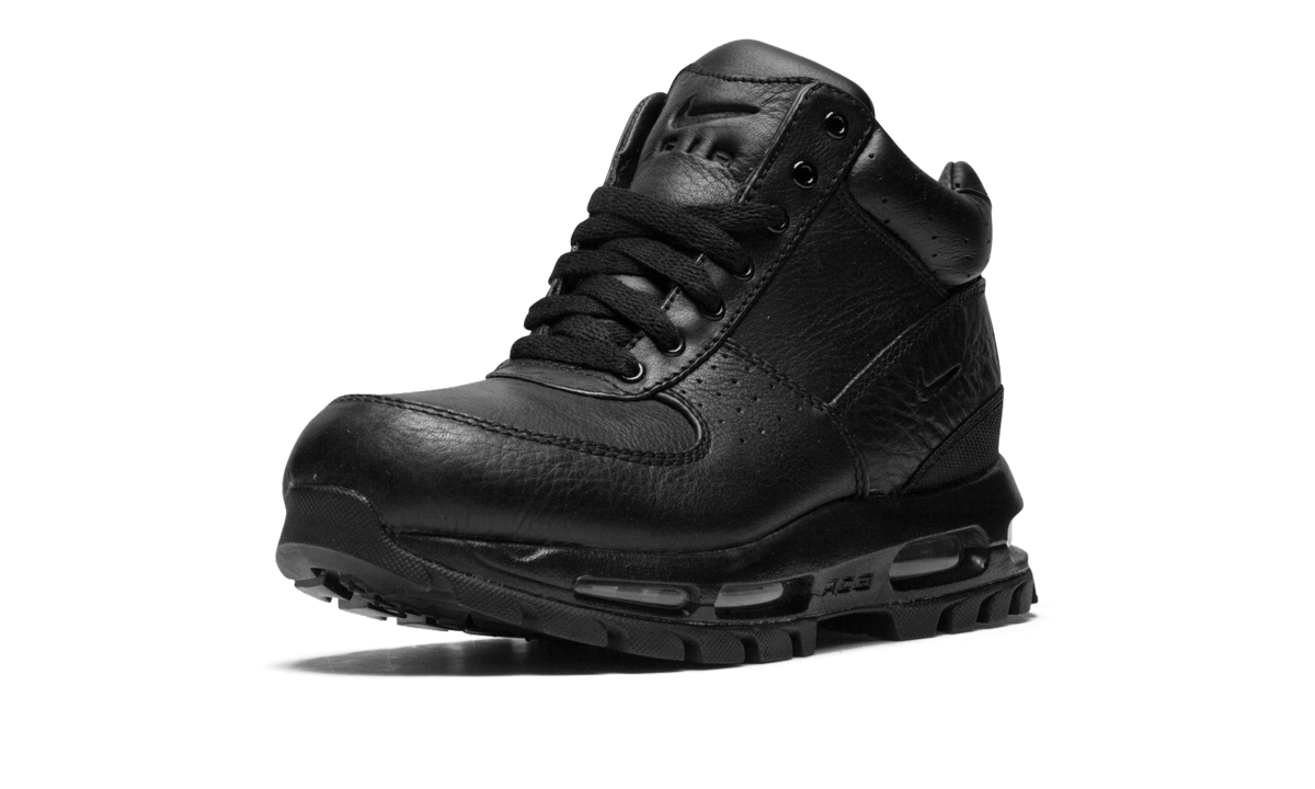 Nike Air Max Goadome (GS) 311567 001