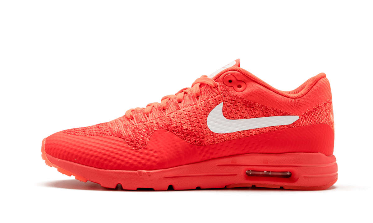 Nike AIR MAX 1 ULTRA FLYKNIT WMNS 843387 601