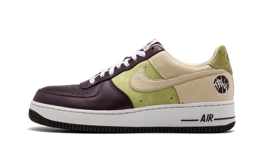 Nike Air Force 1 Premium '07 "Bobbito Garcia" 316892 521
