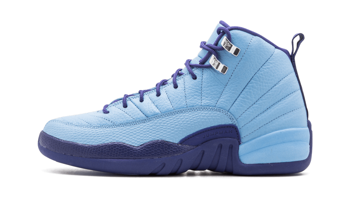 Air Jordan 12 Retro GS Purple Dust 510815 418