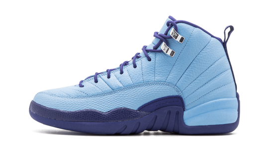 Air Jordan 12 Retro GS Purple Dust 510815 418