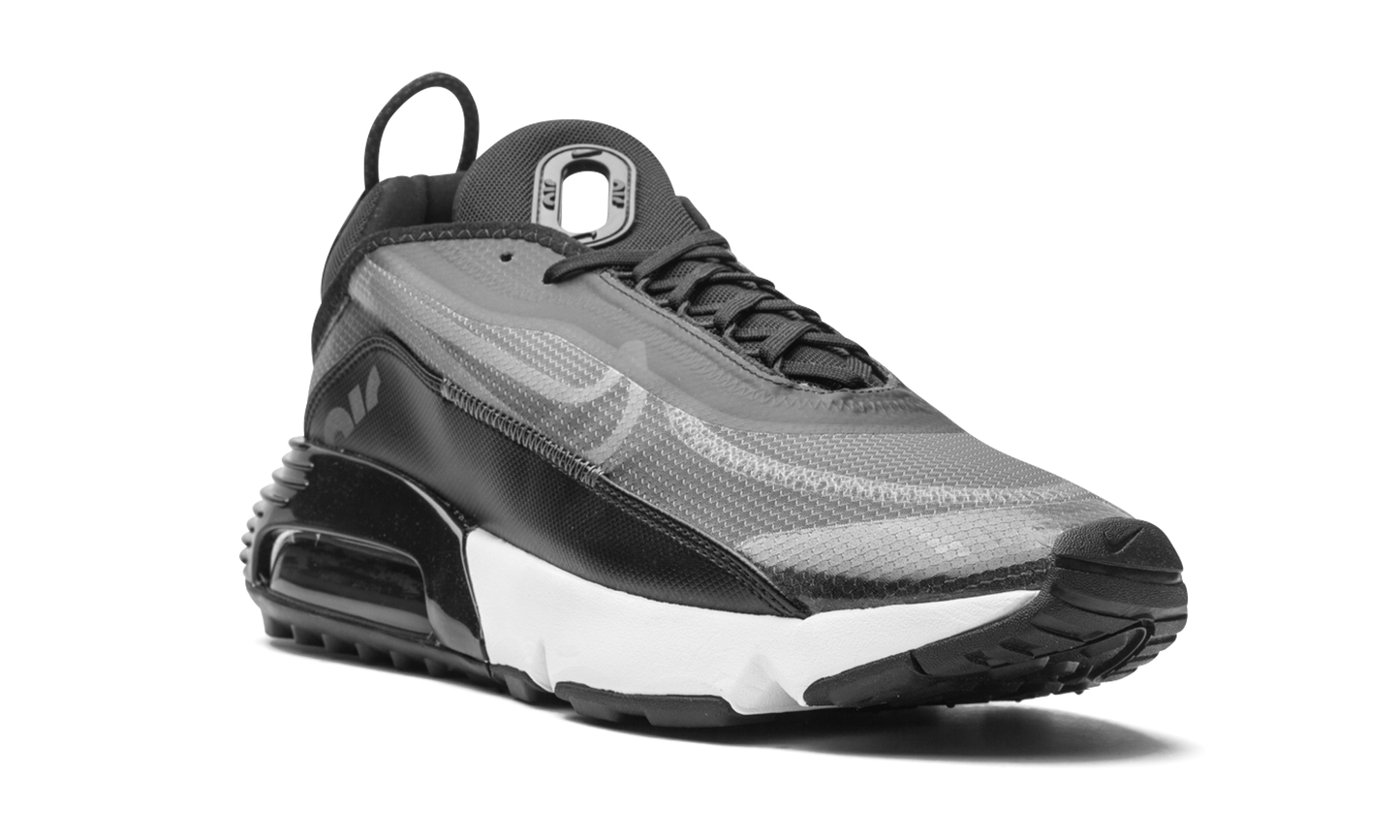 Nike AIR MAX 2090 "Black / Wolf Grey" CW7306 001