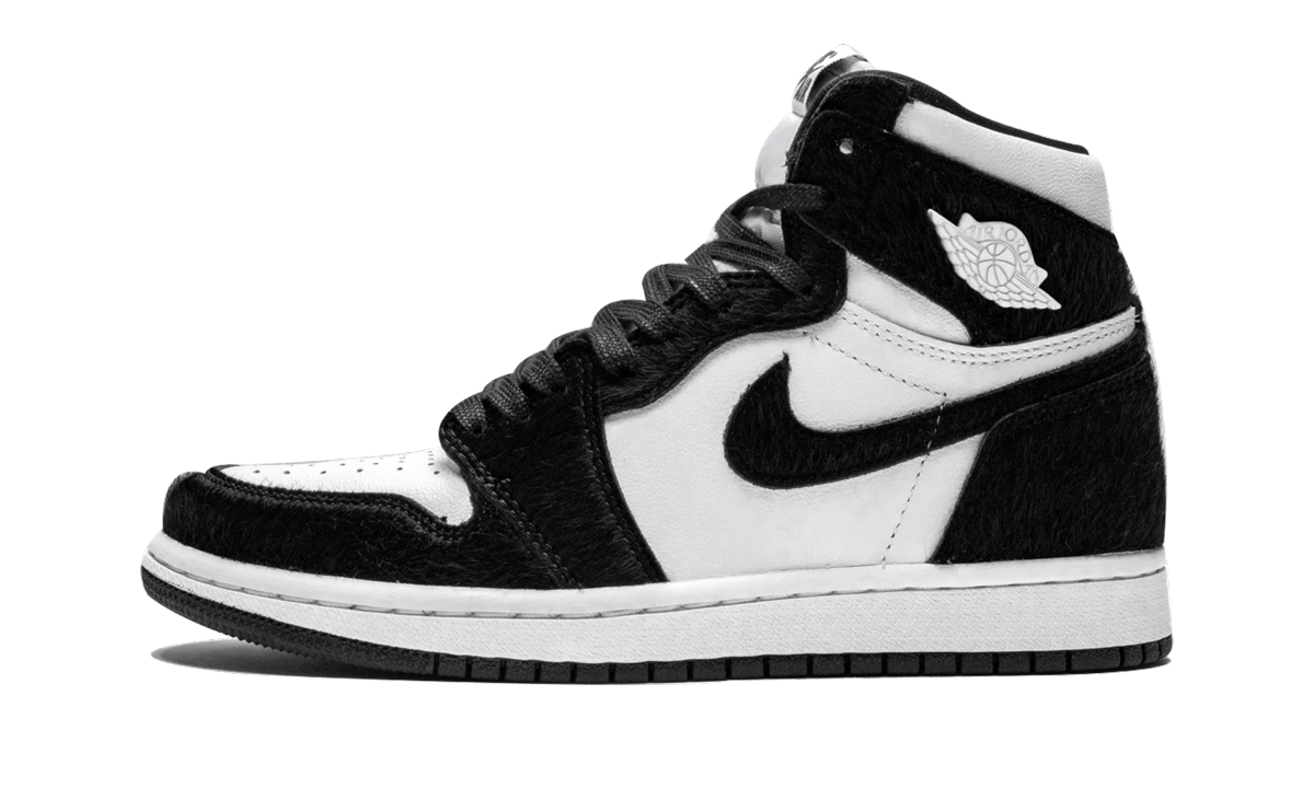 AIR JORDAN 1 RETRO HIGH OG WMNS Twist CD0461 007