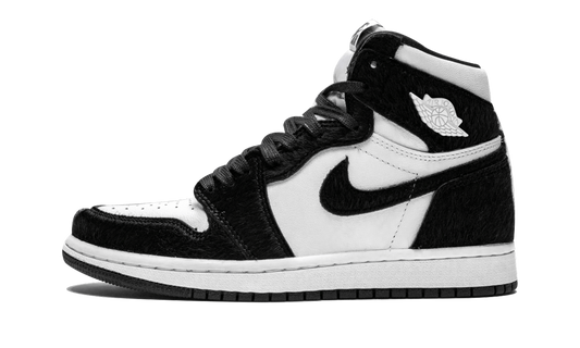AIR JORDAN 1 RETRO HIGH OG WMNS Twist CD0461 007