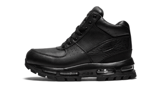 Nike Air Max Goadome (GS) 311567 001