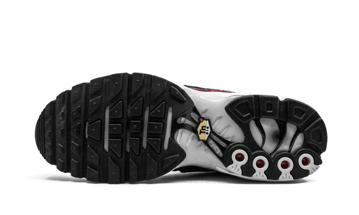 Nike Air Max Plus TN SE "Striped" AT0040 001
