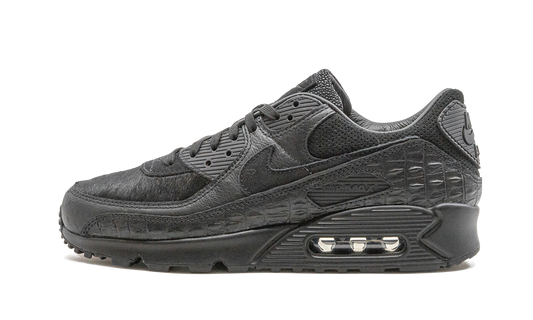 Nike Air Max 90 "Animal Pack" CZ5588 002