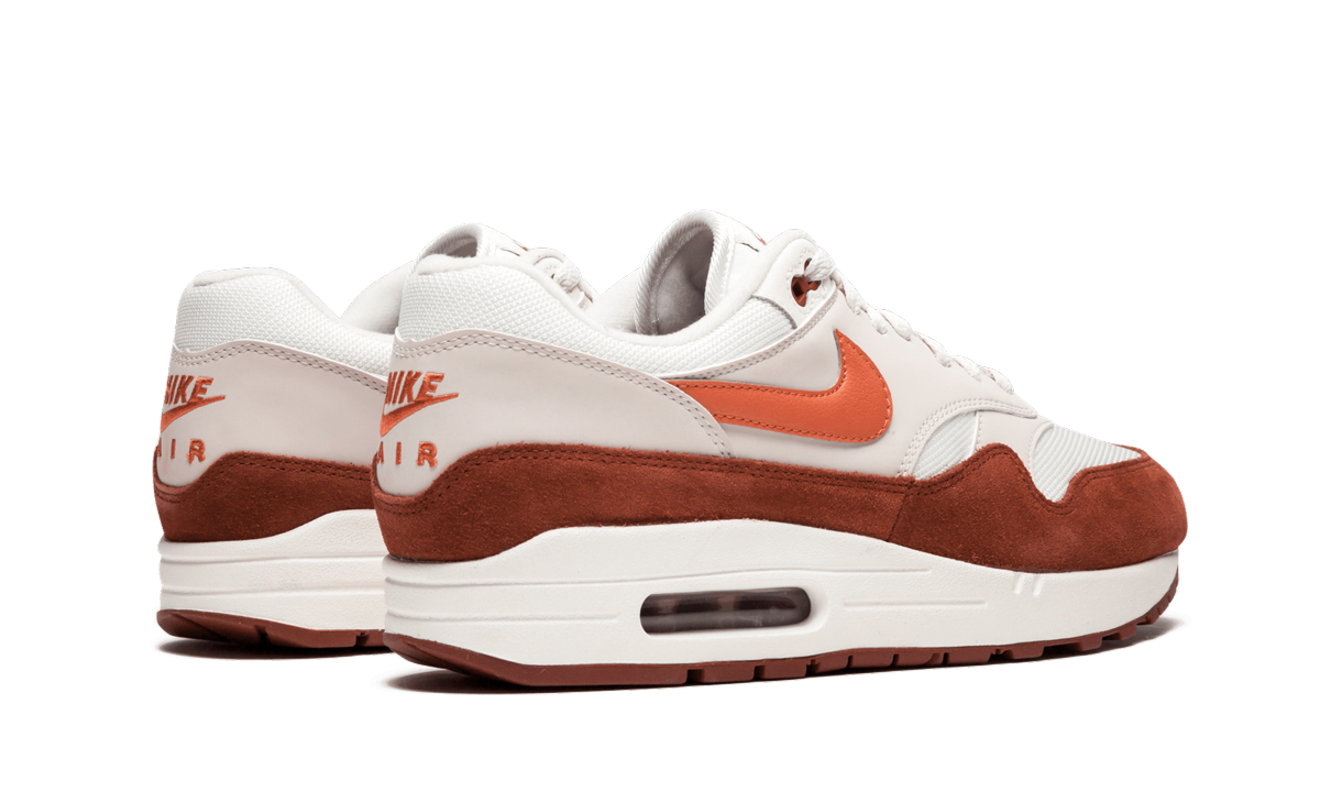 Nike Air Max 1 AH8145 104