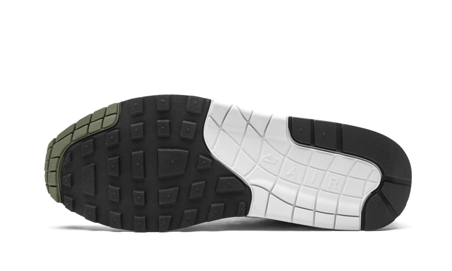 Nike Air Max 1 "Spiral Sage" DB5074 100