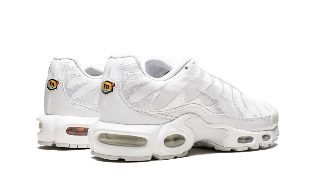Nike Air Max Plus "Triple Black" AJ2029 001