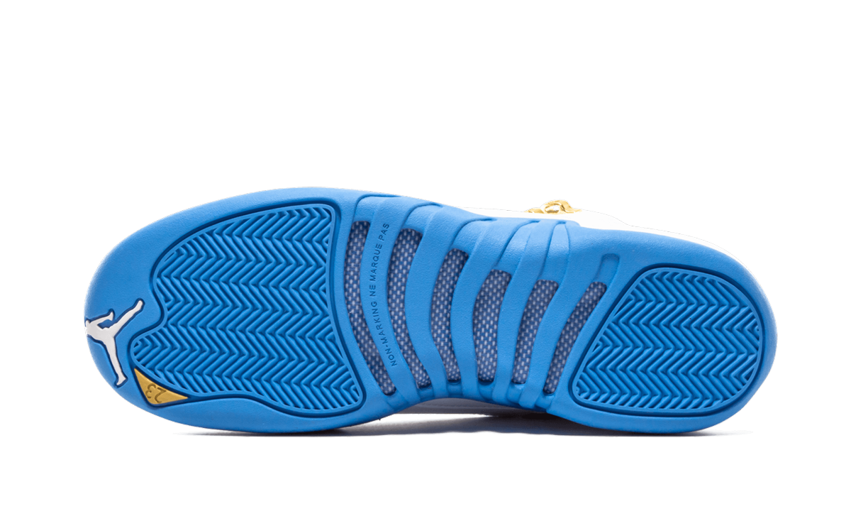 Air Jordan 12 Retro GS MELO 510815 127