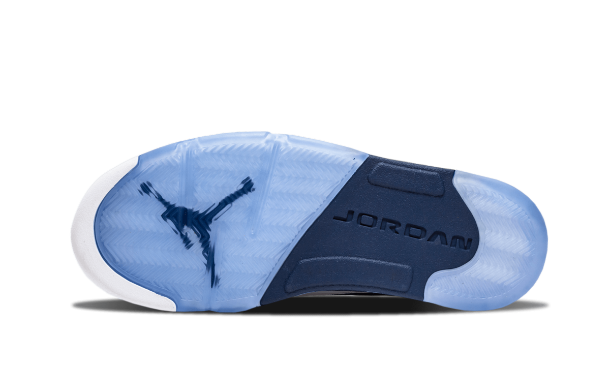 Air Jordan 5 Retro Low DUNK FROM ABOVE