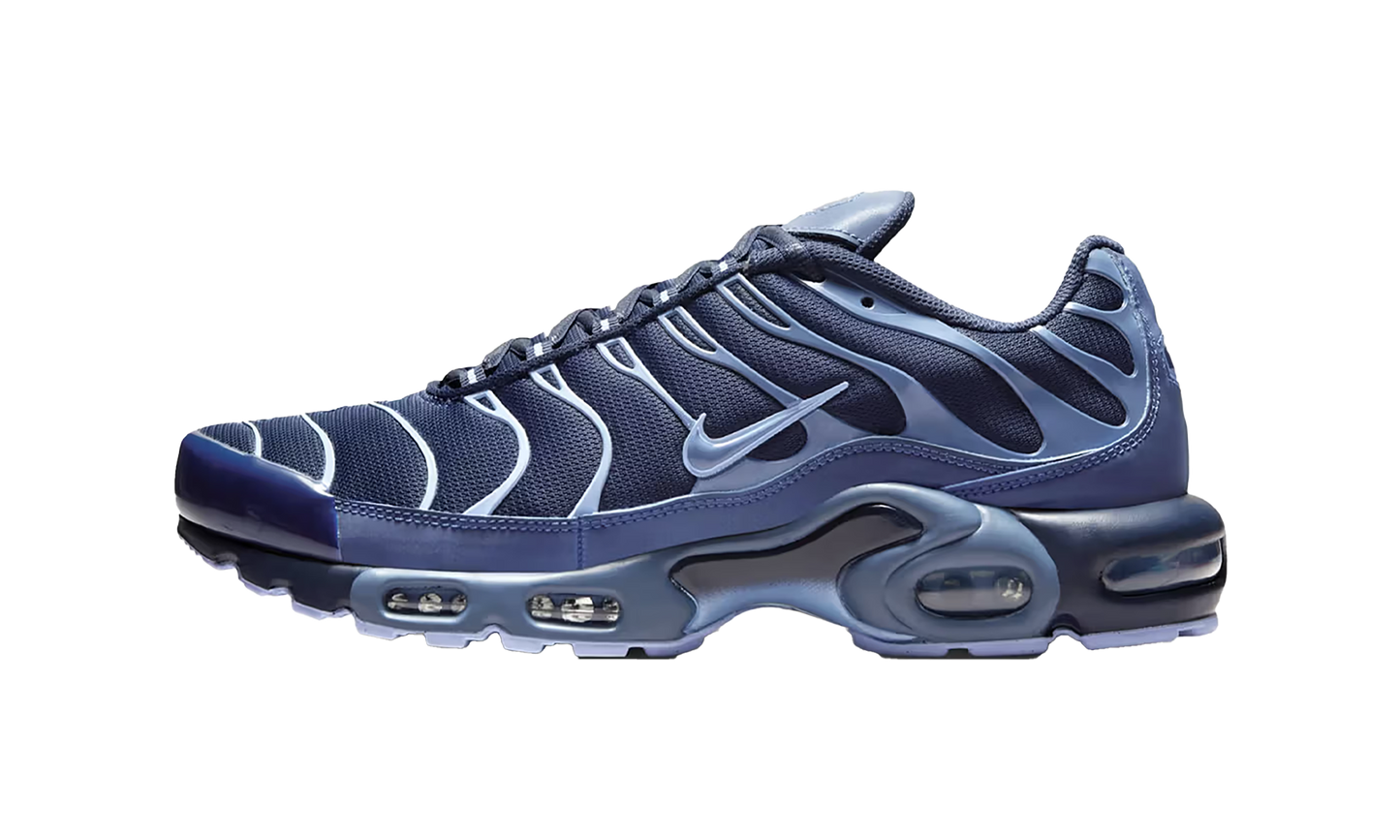 Nike Air Max Plus "Obsidian / Diffused Blue" IM6601 451