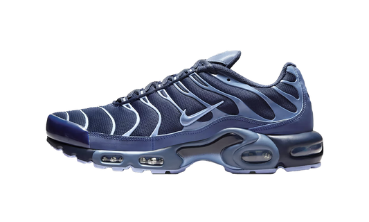 Nike Air Max Plus "Obsidian / Diffused Blue" IM6601 451