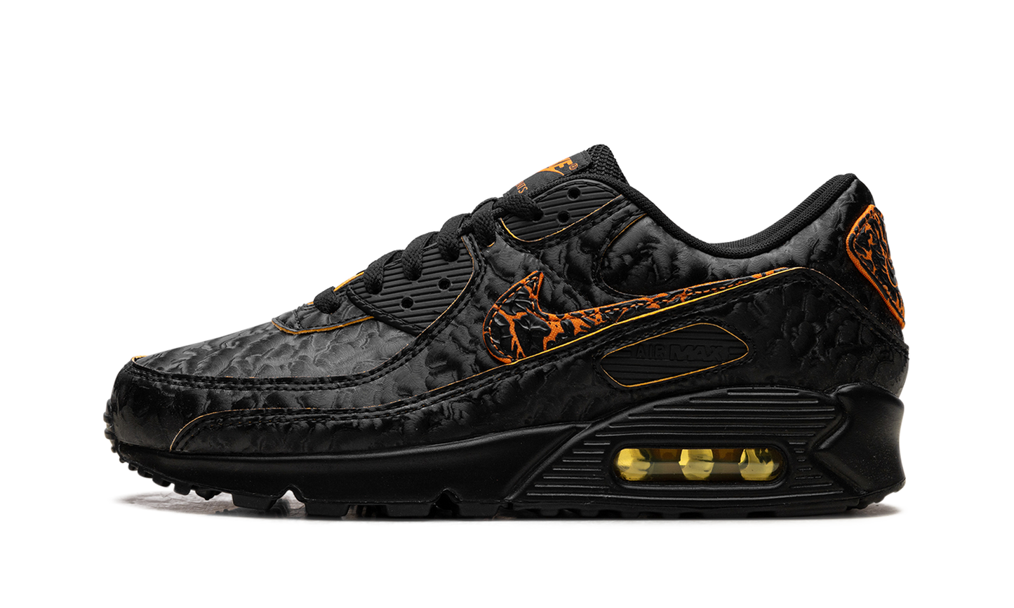 Nike Air Max 90 "Volcano" HF3248 001