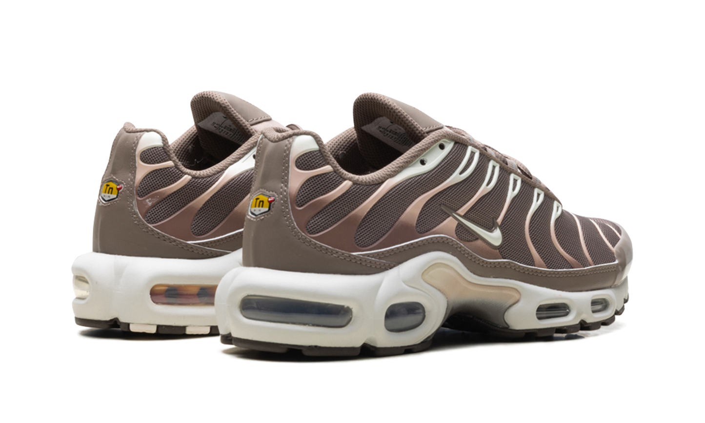Nike Air Max Plus "Mink Brown" DZ3671 200