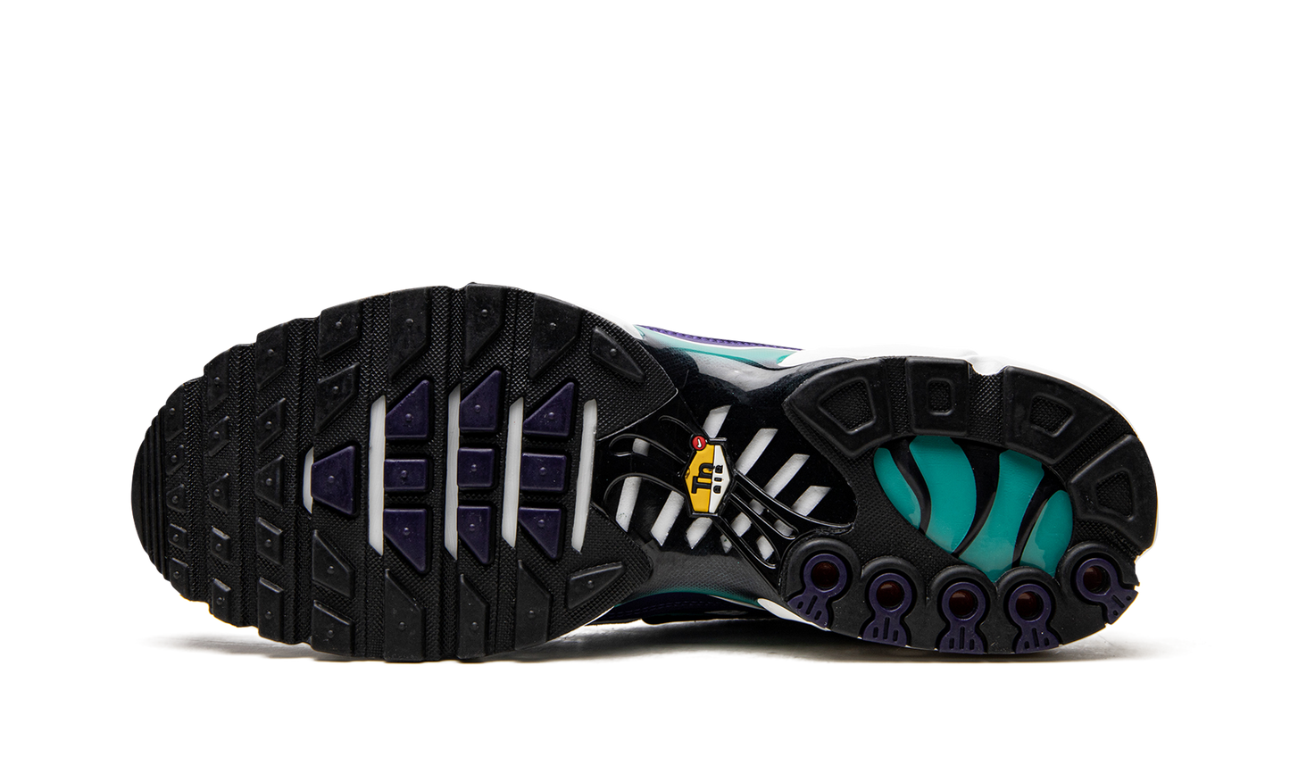 Nike Air Max Plus "Grape" DM0032 100