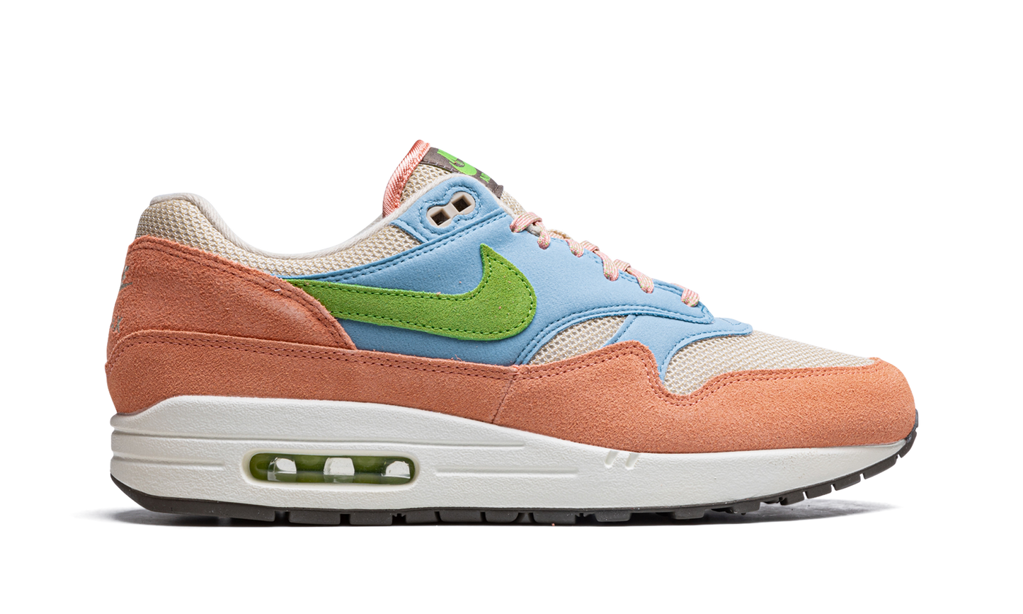 Nike Air Max 1 "Light Madder Root" DV3196 800