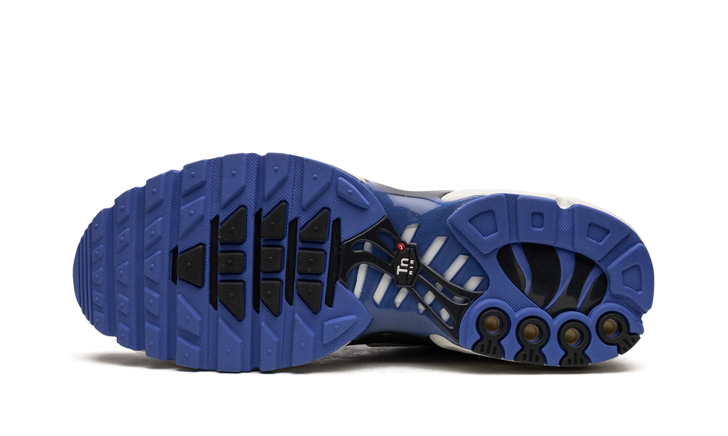 Nike Air Max Plus SE "Social F.C." DQ3981 001