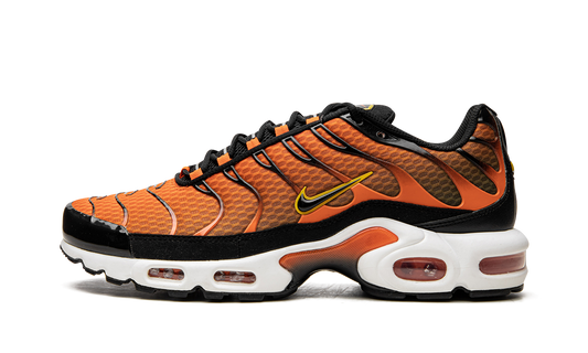 Nike Air Max Plus "Safety Orange" DM0032 800