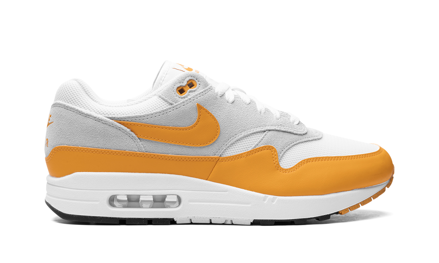 Nike Air Max 1 "Gold" FZ5808-100