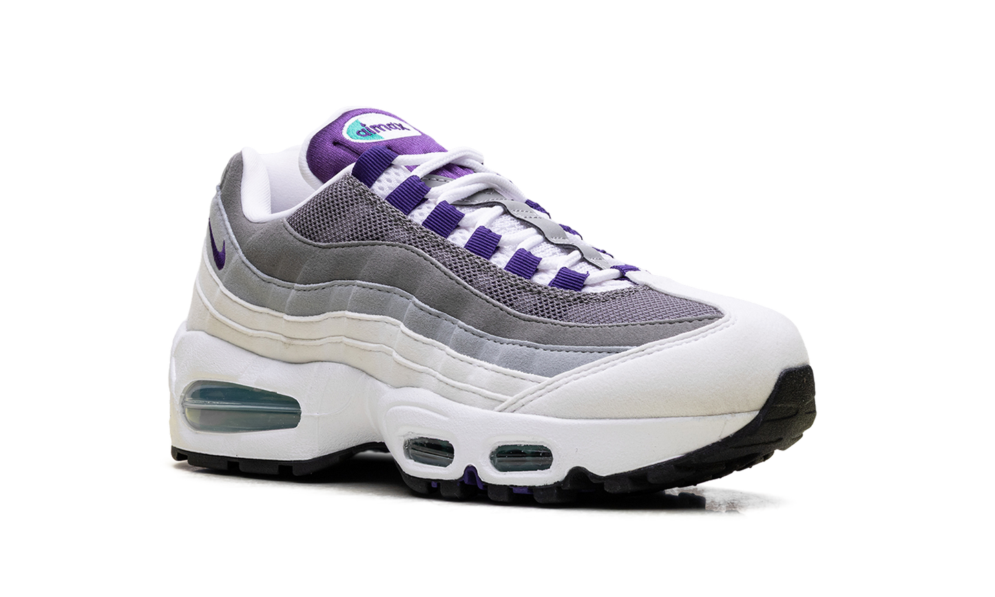 Nike Air Max 95 WMNS "Grape" HJ5996 100