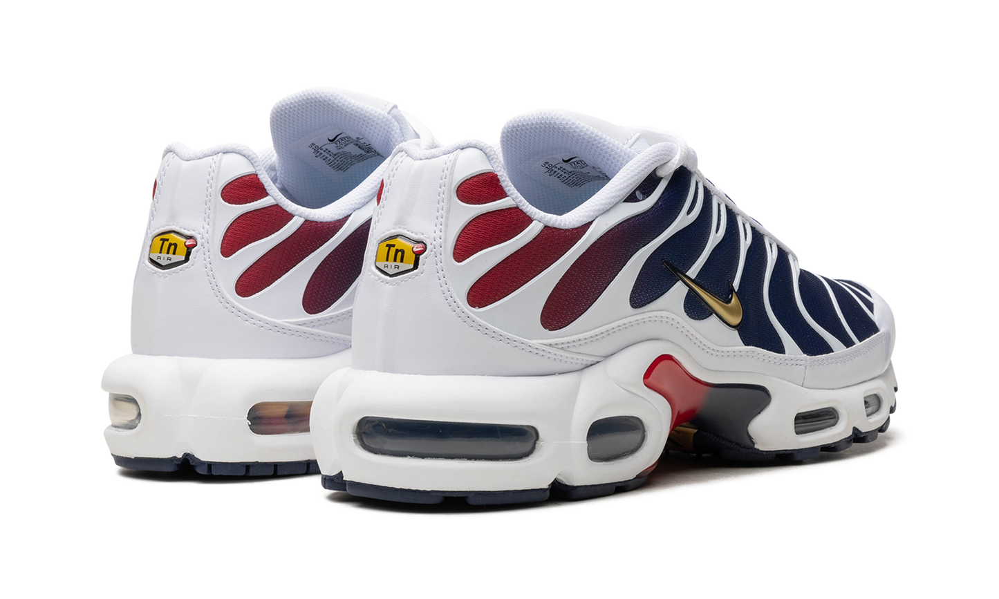 Nike Air Max Plus "PSG" FZ4776 100