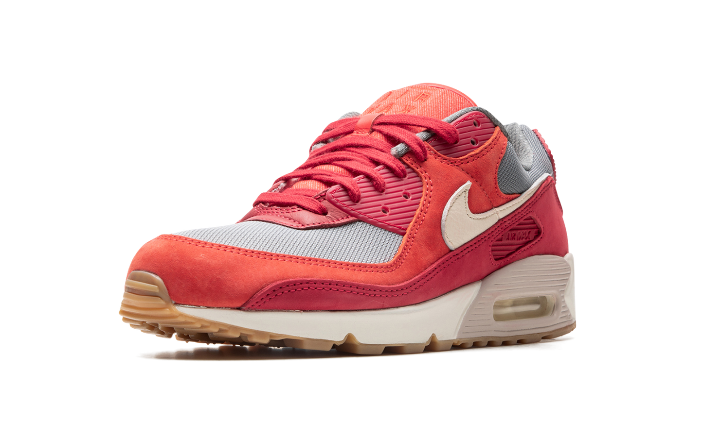 Nike Air Max 90 PRM "Gym Red" DH4621 600