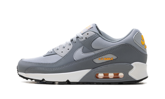 Nike Air Max 90 "Cool Grey Sundial" HV6224 002