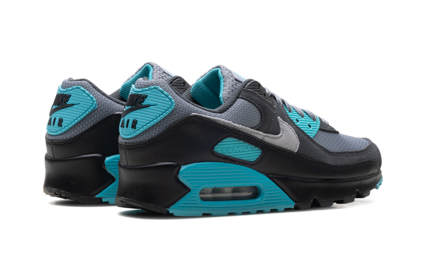 Nike Air Max 90 "Dusty Cactus" DM0029 013