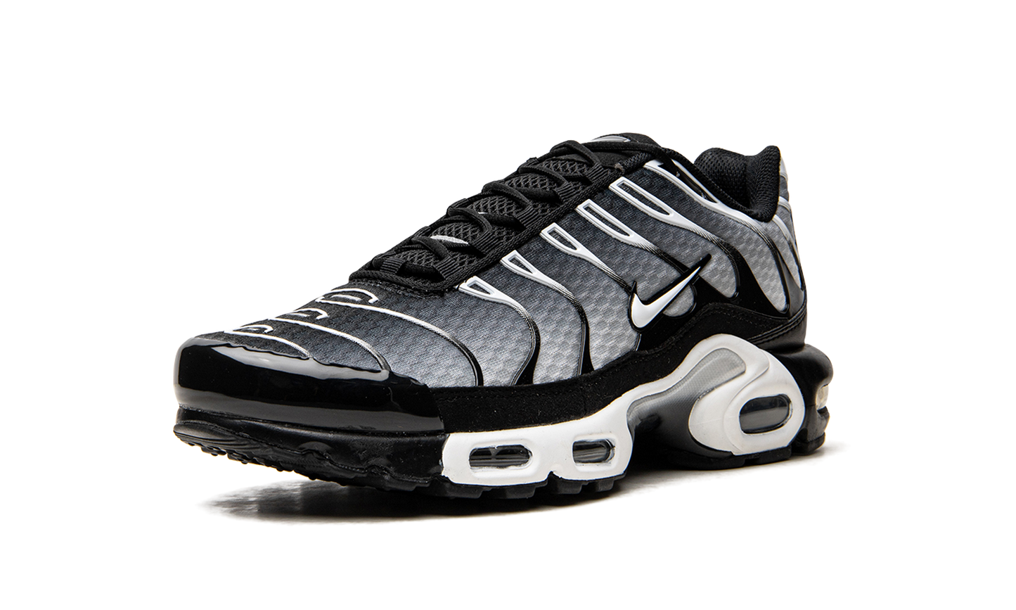 Nike Air Max Plus "Black / Silver" DM0032 003