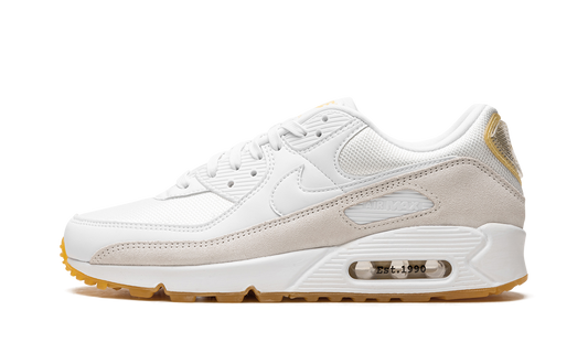 Nike Air Max 90 "Frank Rudy" DV1734 100