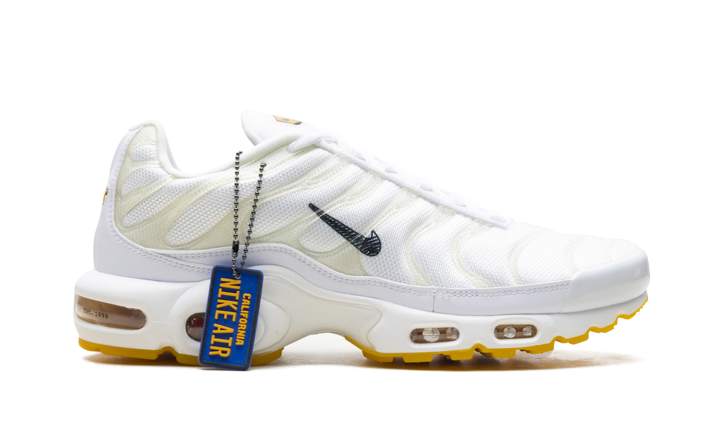 Nike Air Max Plus "Marion Frank Rudy" DQ8960 100
