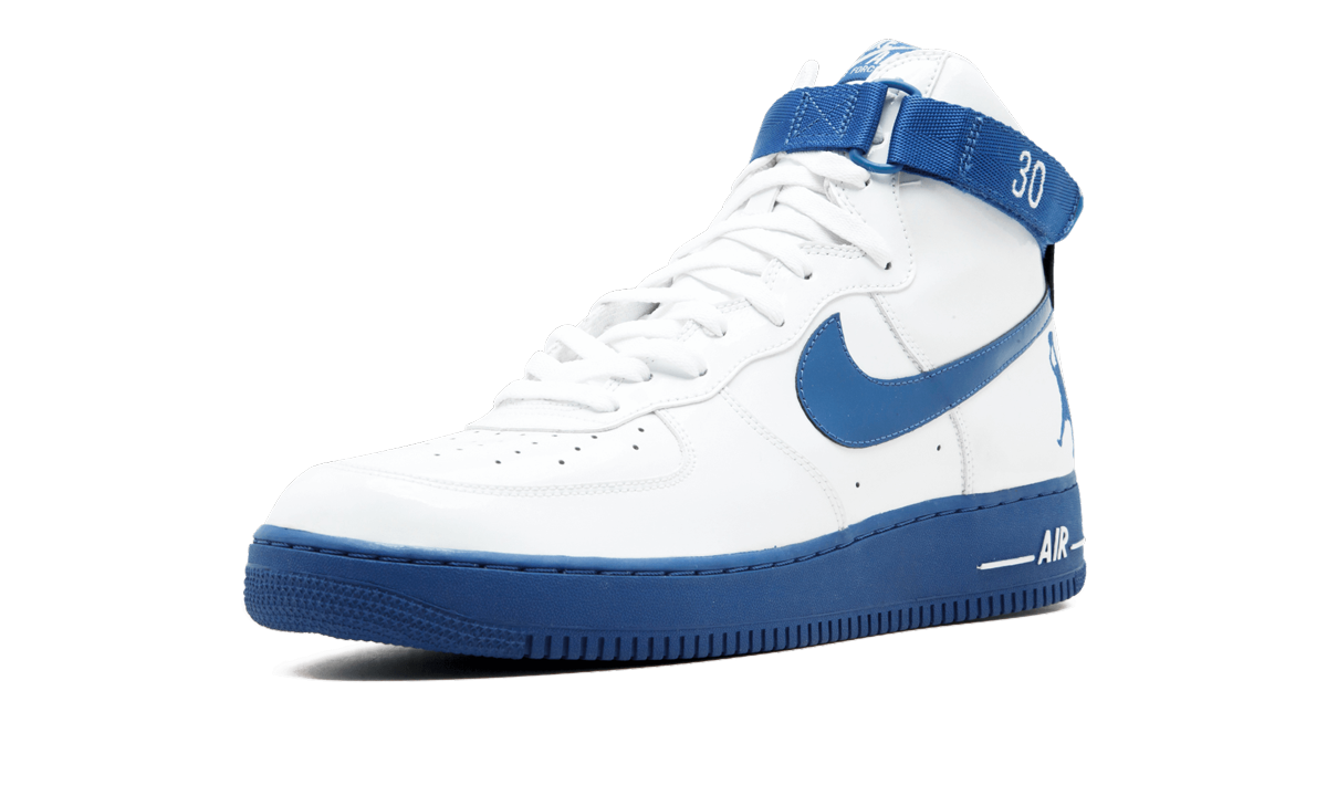 Nike Air Force 1 Sheed "Rasheed Wallace" 3078722 141