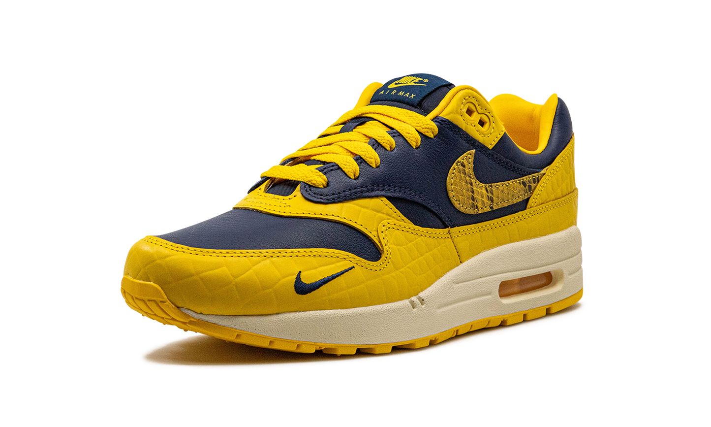 Nike AIR MAX 1 PRM MNS WMNS "Co.jp Head to Head" FJ5479 410