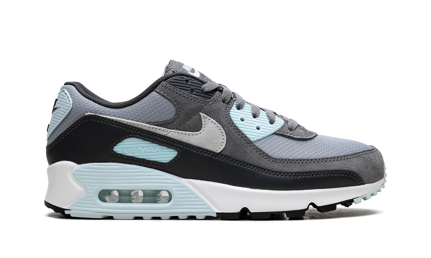 Nike Air Max 90 "Pumice" DM0029 009