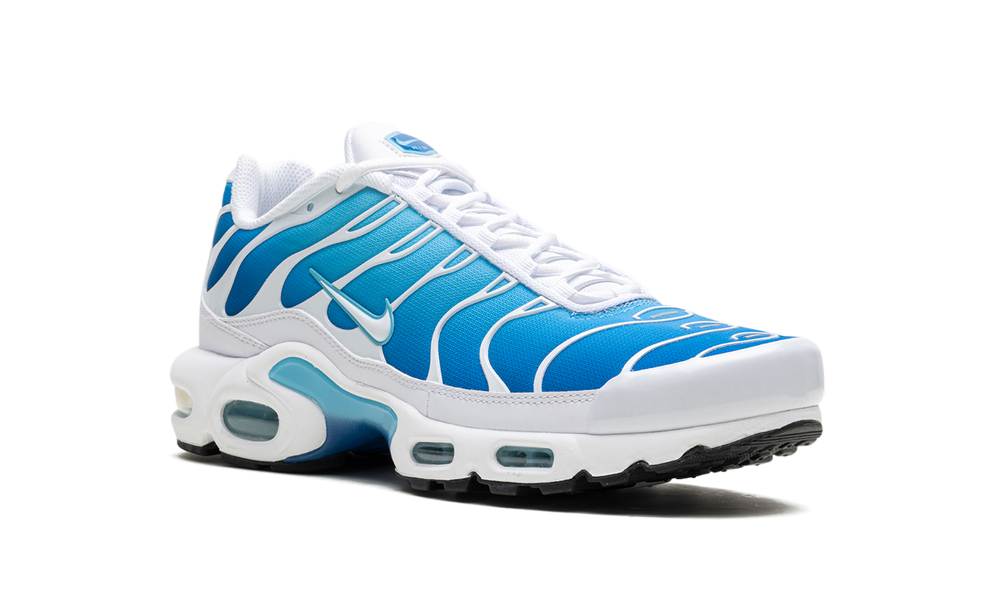 Nike Air Max Plus "Blue Gaze" 852630 411