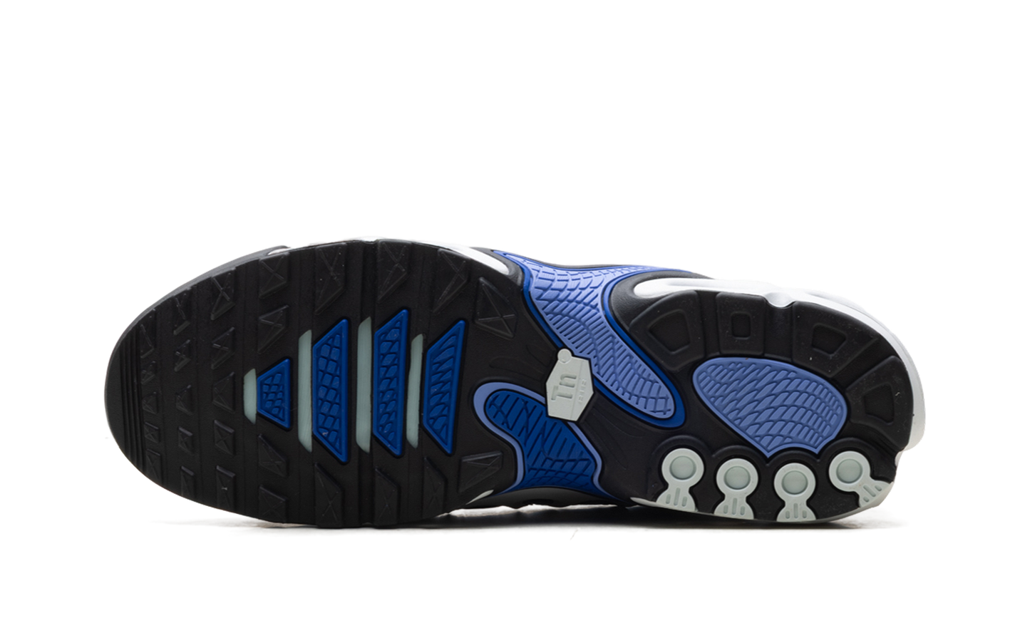 Nike Air Max Plus Drift "Summit White Royal Pulse" FD4290 102