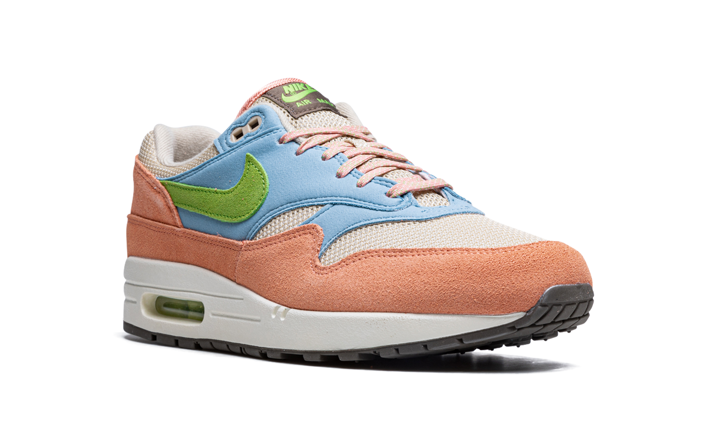 Nike Air Max 1 "Light Madder Root" DV3196 800