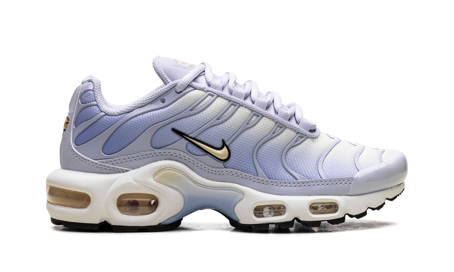 Nike Air Max Plus WMNS "Daybreak" DZ3670 004