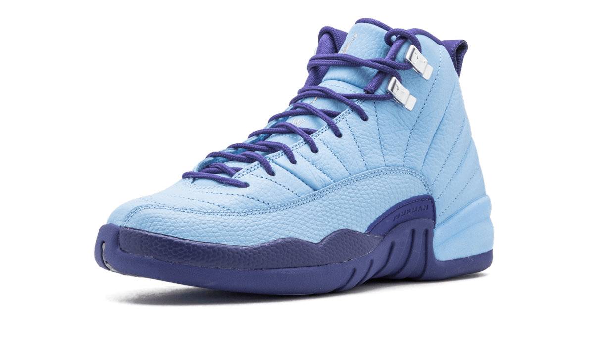 Air Jordan 12 Retro GS Purple Dust 510815 418