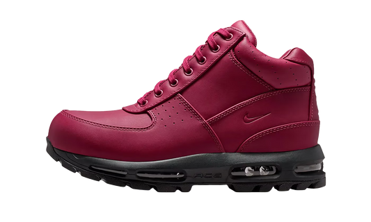 Nike Nike Air Max Goadome "DMV" IQ0610 633
