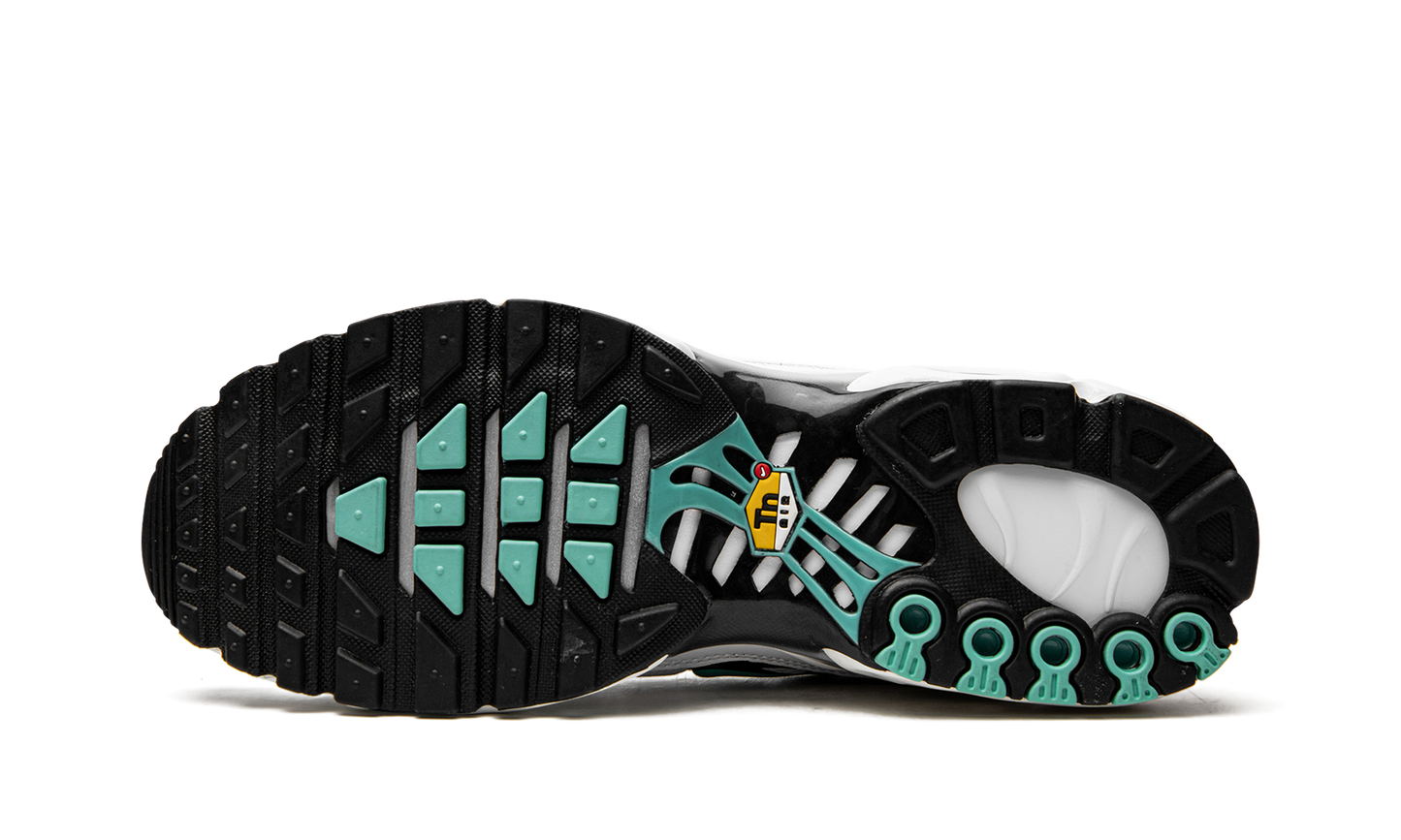Nike Air Max Plus "Atmos" 604133 148