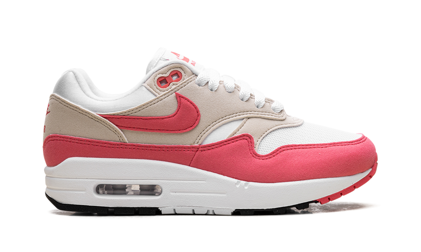 Nike Air Max 1 WMNS "Aster Pink" DZ2628 110